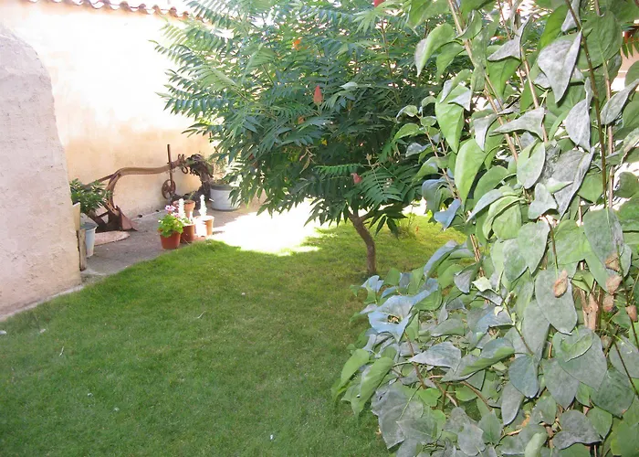 Arturo I Летний дом *